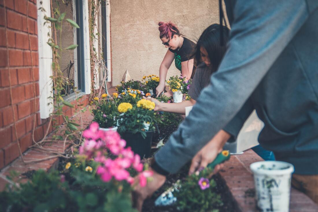 Volunteers working in community garden